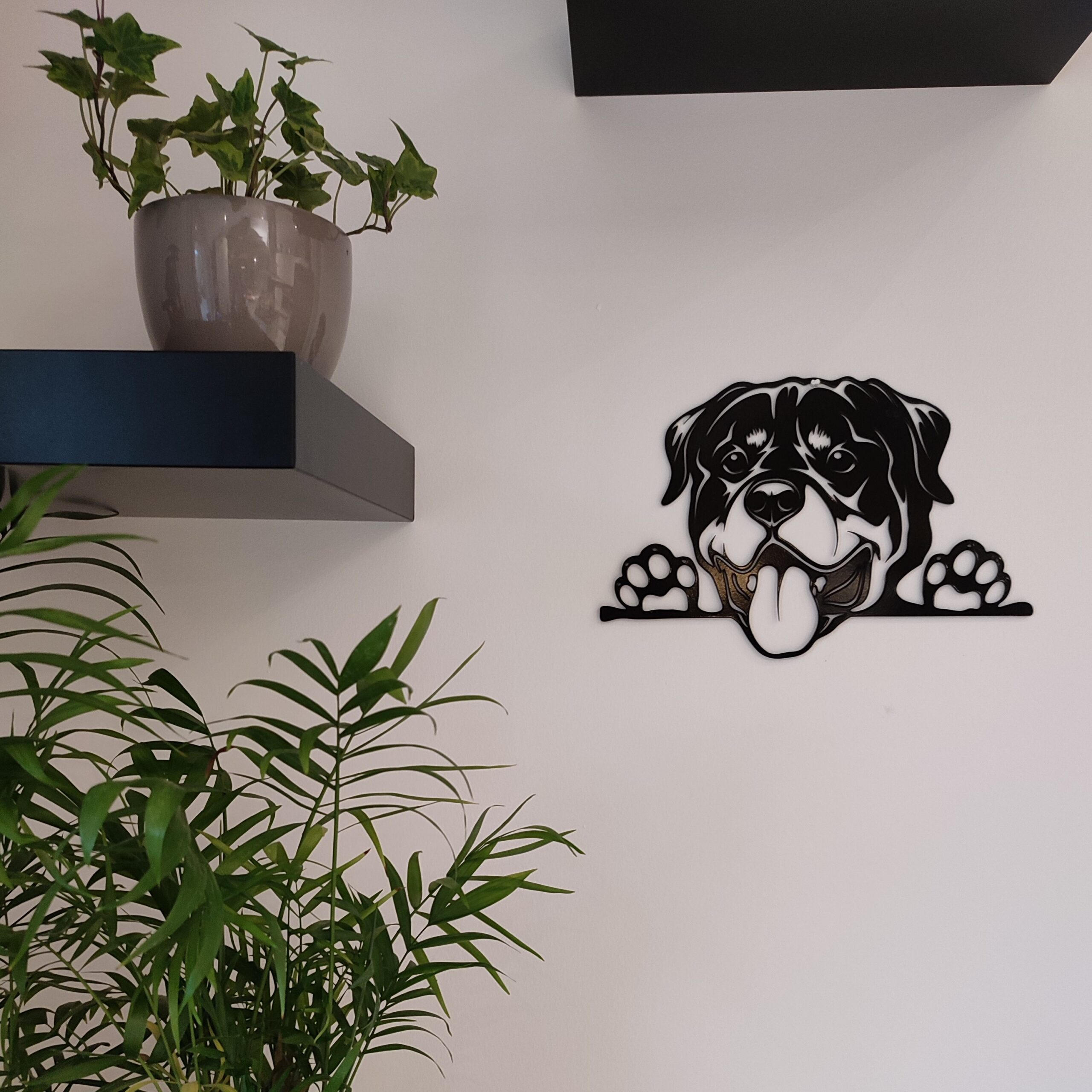 Gros toutou – Image 3