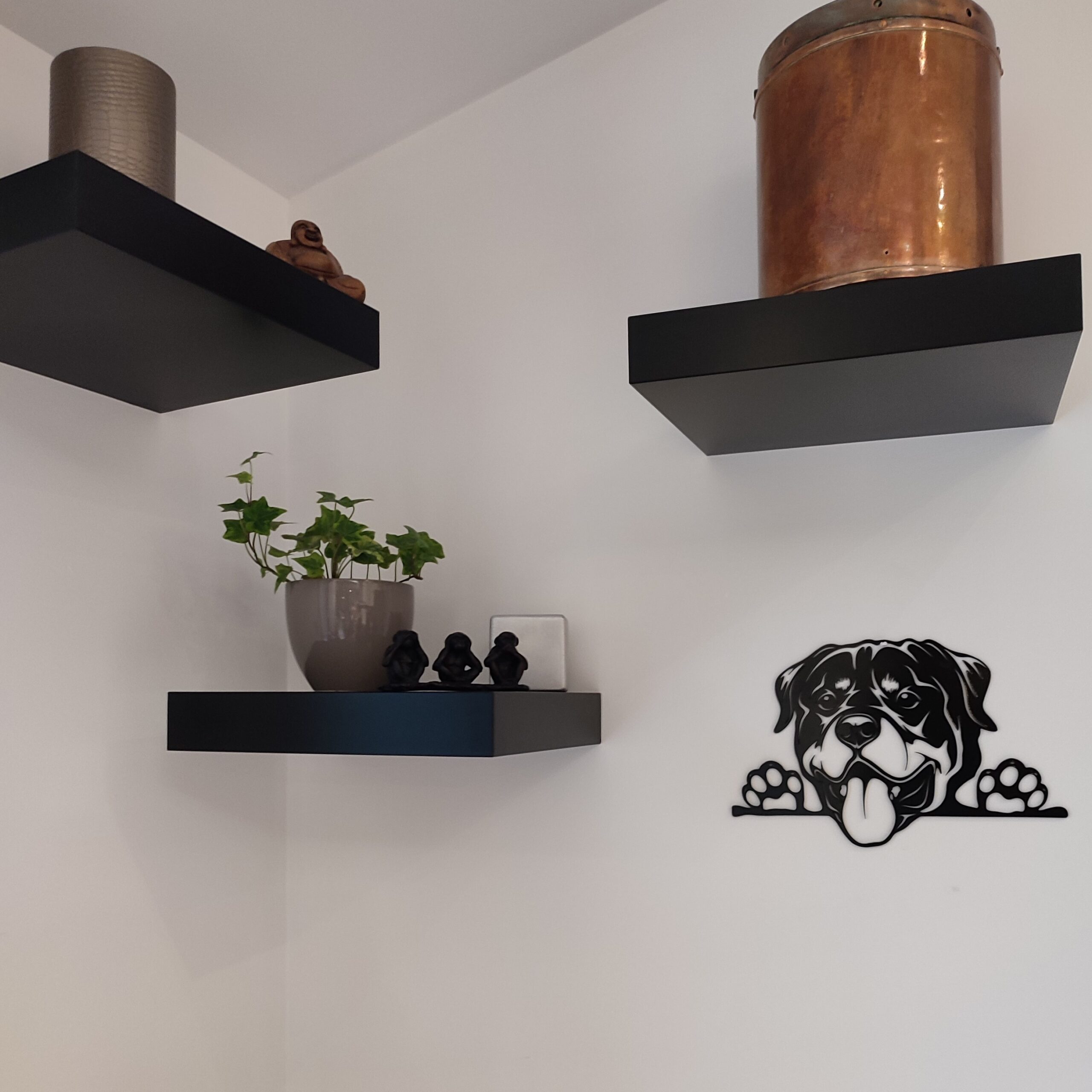 Gros toutou – Image 4